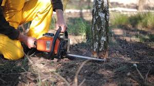 Lawn Irrigation Installation and Maintenance in Terra Alta, WV